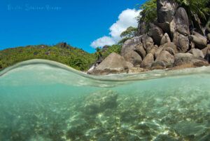 Seychelles www.20000leguas.es Playa de Seychelles