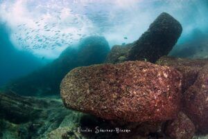 Seychelles www.20000leguas.es Bloques de granito bajo el agua