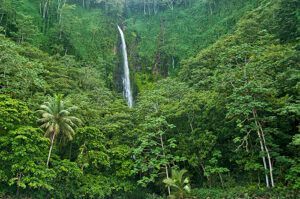 Cascada en la isla del Coco
