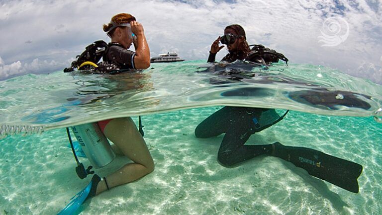 snorkel maldivas vida a bordo