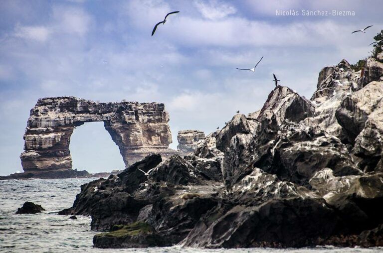 Vida a bordo Galapagos