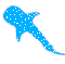 Tiburón ballena