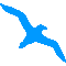 Aves marinas